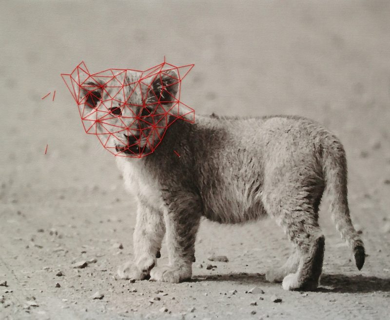 83B0D180-0181-499E-BF4B-D1F16AD57575